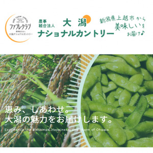 塩茹で冷凍枝豆 おおがた豆 枝豆 豆 えだまめ おつまみ 冷凍 新潟県 上越市