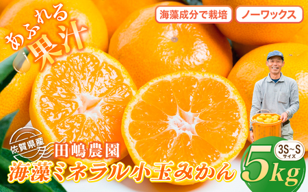 海藻ミネラル小玉みかん 5kg　みかん ミカン 蜜柑 たらみかん 太良みかん 温州みかん 完熟みかん 甘熟 柑橘 国産 こだわり 有機栽培 産地直送 贈答品 詰め合わせ 極甘 小玉 佐賀県産 太良町 L21x1 【2026年10月下旬～2027年1月上旬迄発送予定】