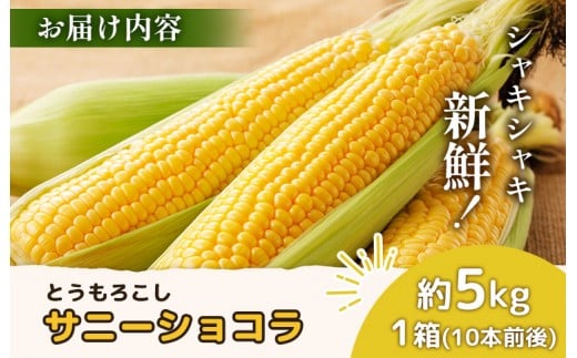 【先行予約】上原農場直送 有機栽培とうもろこし (サニーショコラ) 約5kg 約10本前後