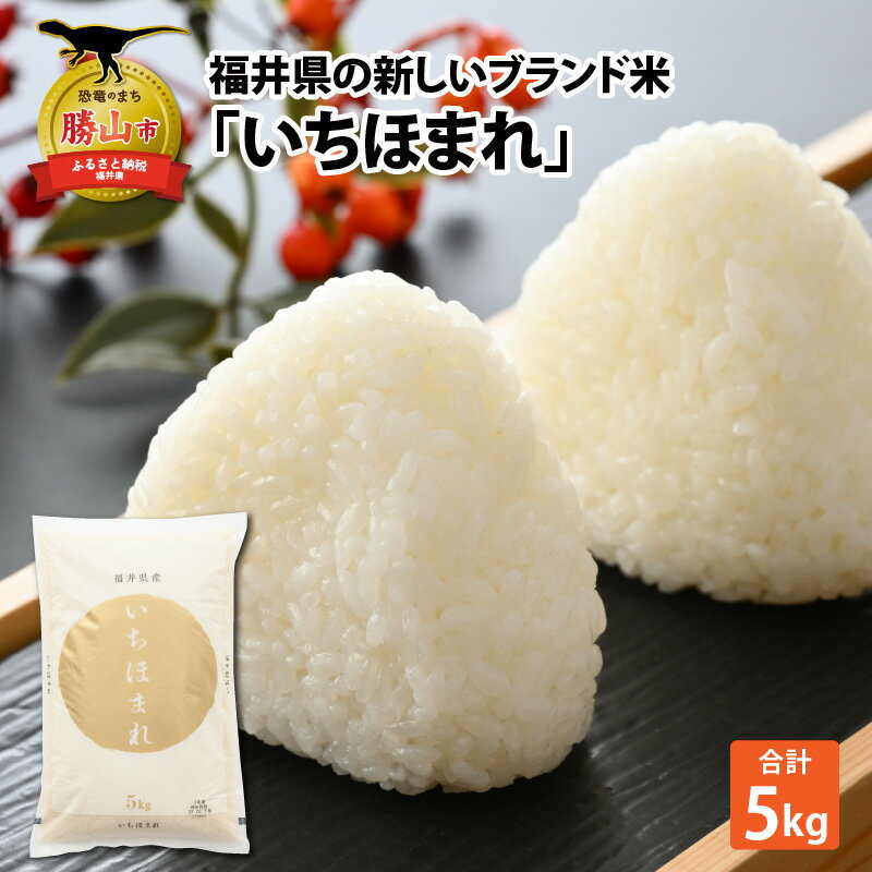 【ふるさと納税】令和7年産 福井県の新しいブランド米 いちほまれ5kg ×1袋 / いちほまれ お米 米 こめ ブランド米 精米 白米 国産 福井県産 勝山市