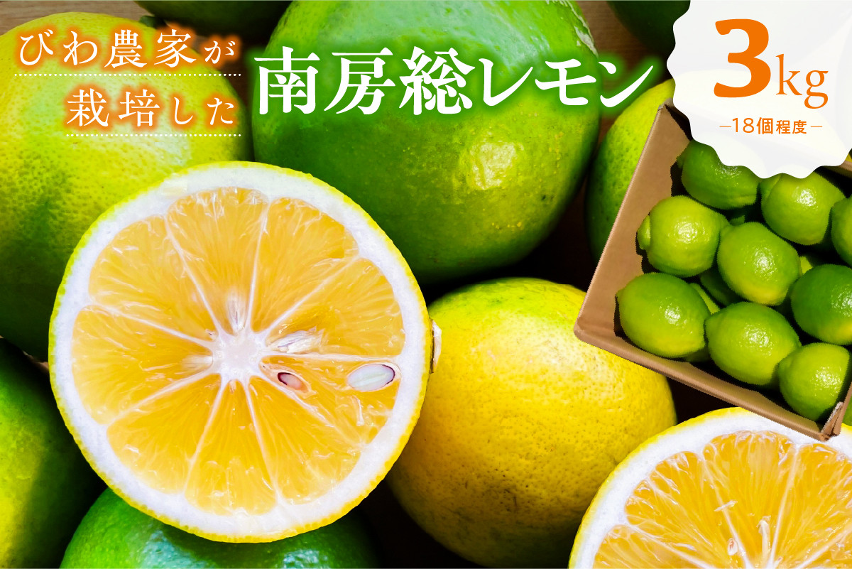 
            びわ農家が栽培した「南房総レモン」3kg mi0090-0001【ちばエコ農産物 ユーレカ 調味料 果物 フルーツ グリーンレモン イエローレモン 柑橘 お取り寄せ グルメ】
          