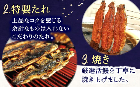 おにぎり たじみのうなぎり 5個入り 多治見市 / 玉野屋 おむすび 冷凍[THN001]