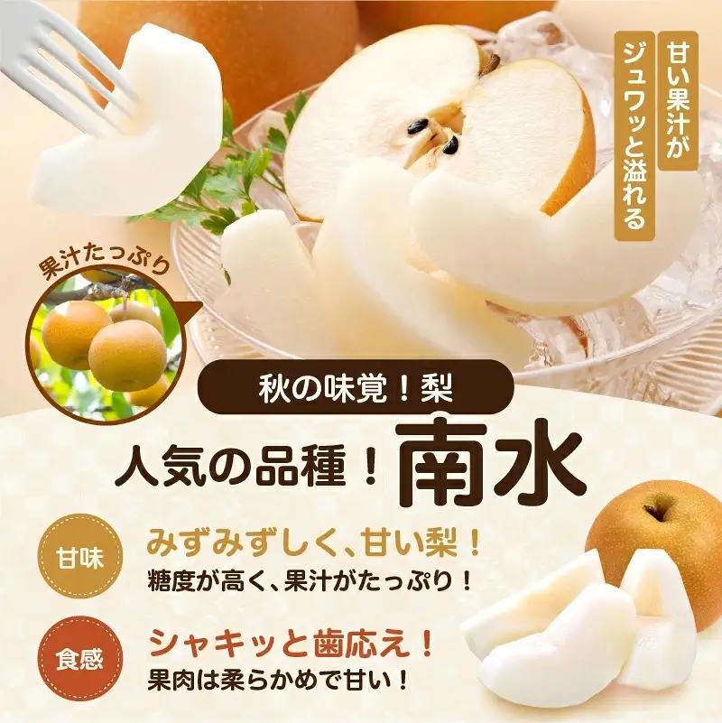【9月上旬から発送予定】南信州生まれのジューシーで甘い梨「南水梨」 約2kg 5～6玉 糖度14.0以上