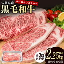 【ふるさと納税】【3回定期便】佐賀県産 黒毛和牛 贅沢 サーロイン ステーキ 250g×3枚（計750g）【株式会社いろは精肉店】お肉 肉 牛肉 冷凍 和牛 [IAG090]