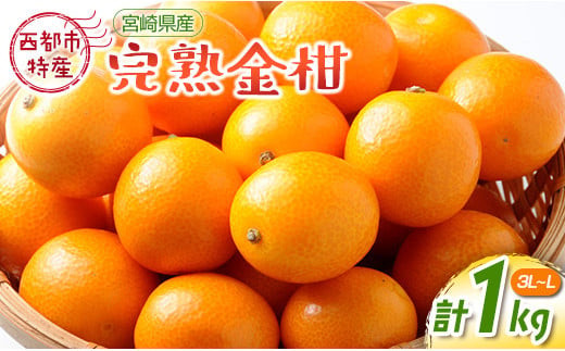 宮崎県西都市産 完熟金柑 きんかん1kg(3L~L)西都市特産品【2月9日終了】<1-233>