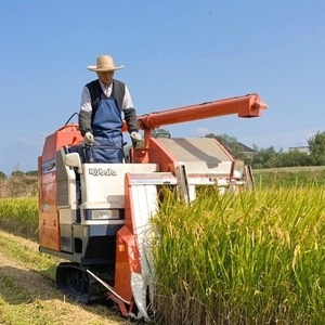 千葉県産コシヒカリ　5kg
