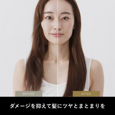 ふるさと納税 江東区 リフトドライヤー(ゴールド) 【kt065-010-2】 |  | 03