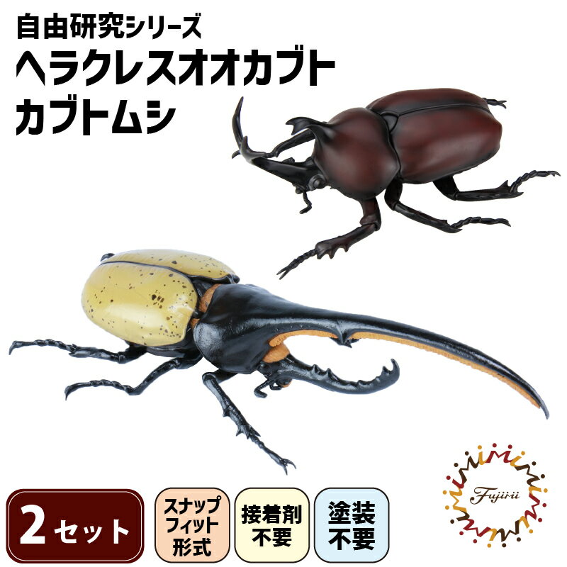 【ふるさと納税】 模型 昆虫 自由研究シリーズセット ヘラクレスオオカブト カブトムシ 2セット 玩具 ホビー 夏休み 虫 ヘラクレス 送料無料 フジミ カブト虫 静岡県 藤枝市