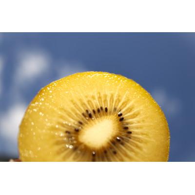 ふるさと納税 琴平町 【ふるさと納税】【香川県共通返礼品】　キウイ　鮮やか黄金に輝く　ゴールドキウイ約2.7kg　16玉 |  | 02