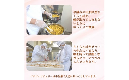 さくらんぼの宝石!プチジェリチェリー 8個入×2箱セット　010-G-SF002 ２箱