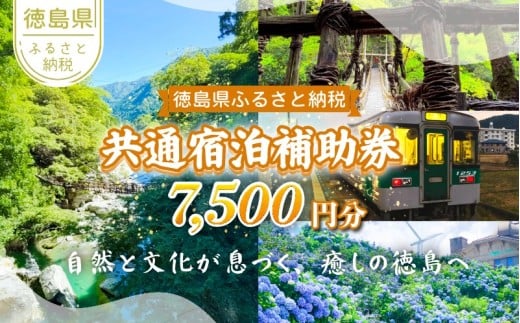 徳島県 宿泊券 7,500円分 徳島県 徳島 すだち 大野 海苔 のり お土産 米 徳島ラーメン ラーメン 道の駅 観光 ホテル 美術館 名物 温泉 グルメ 徳島ヴォルティス フィッシュカツ 半田そうめん 阿波踊り お菓子 日本酒 藍染