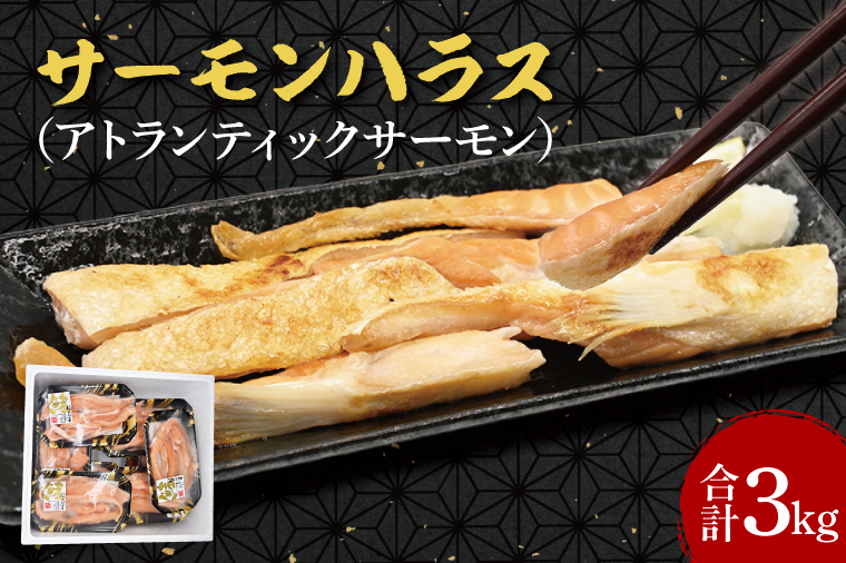 サーモン ハラス 3kg (200ｇ×15p) アトランティックサーモン 鮭 鮭はらす 干物 ひもの 大洗町 焼魚 焼き魚 魚 魚介 海鮮 海産物 冷凍 工場直送 おかず おつまみ