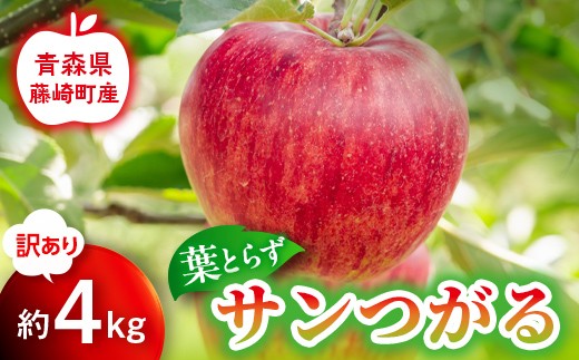 
                  【先行予約】訳あり 葉とらず サンつがる 約4kg【グランドアップル】 青森りんご リンゴ 林檎 アップル 果物 くだもの フルーツ F41-0041
                