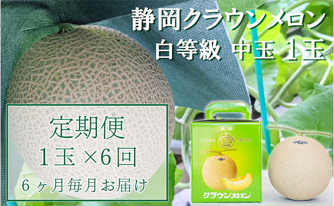 クラウンメロン【並（白等級）】中玉（1.3kg前後）1玉入り 定期便6ヶ月 人気 厳選 ギフト 贈り物 デザート グルメ 果物 袋井市 果物類 メロン青肉 フルーツ 6回 半年