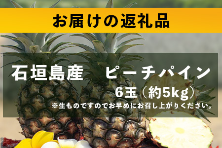 【先行予約】石垣島産 ピーチパイン (6玉 約5㎏) 《5月上旬頃より順次発送》【 産地直送 沖縄 石垣 パイナップル フルーツ 】TP-12