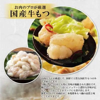 Z08-31 お徳用もつ鍋(白味噌味 8～10人前)  もつ鍋