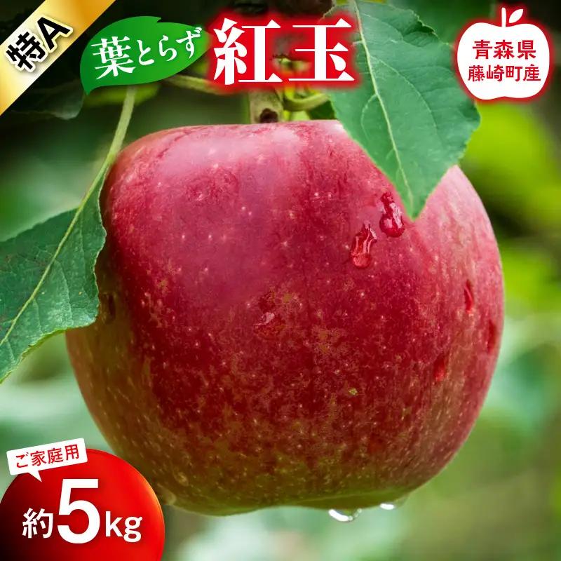 ≪先行予約≫ 葉とらず 紅玉 特A 家庭用 約5kg 【グランドアップル】 青森りんご F41-0031