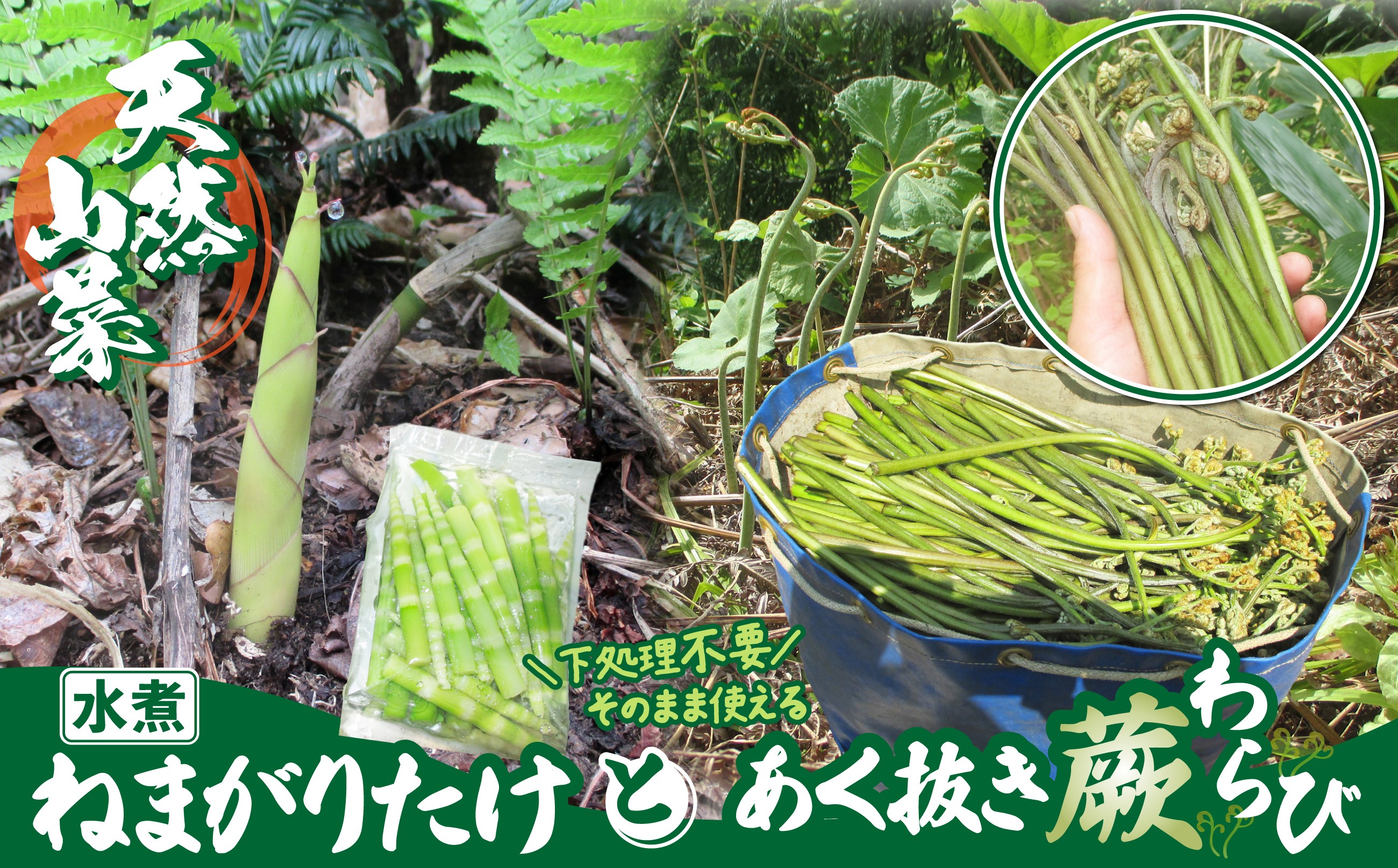 
                  予約受付【天然山菜】「ねまがりたけ水煮とあく抜きわらび」セット 60P3225 /　山菜 天然 山 自然 たけのこ タケノコ ねまがりたけ ねまがりだけ ネマガリタケ ネマガリダケ 根曲がりたけ 根曲がりだけ わらび ワラビ 東北 秋田 大館 天然もの 水煮 天然山菜 天然山菜水煮 下処理済 下処理不要 山菜水煮 あく抜き済み たけのこ水煮 春の山菜水煮 天然たけのこ水煮 たけのこ天然もの水煮 蕨
                