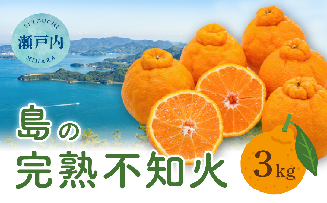 【先行受付】瀬戸内 島の不知火 約3kg 白鷺農園《2026年2月下旬～4月上旬頃出荷》 デコポン と同品種  旬 柑橘 フルーツ 果物 しらぬい デコポン 贈答 不知火 164001