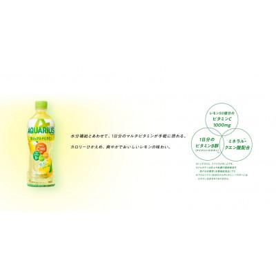 ふるさと納税 基山町 アクエリアス1日分のマルチビタミン　2L　1箱(6本) |  | 02