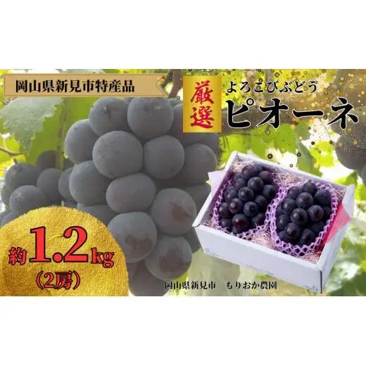 もりおか農園のよろこびぶどう 厳選ピオーネ 約1.2kg 2房 【先行予約 9月上旬から順次発送】