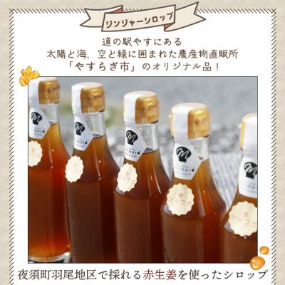 ふるさと納税 香南市 ジンジャーシロップ200ml×5本 yr-0048 |  | 01