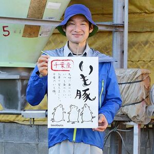 千葉県産銘柄「いも豚」ロース切身100g×8枚【配送不可地域：離島】【1377779】