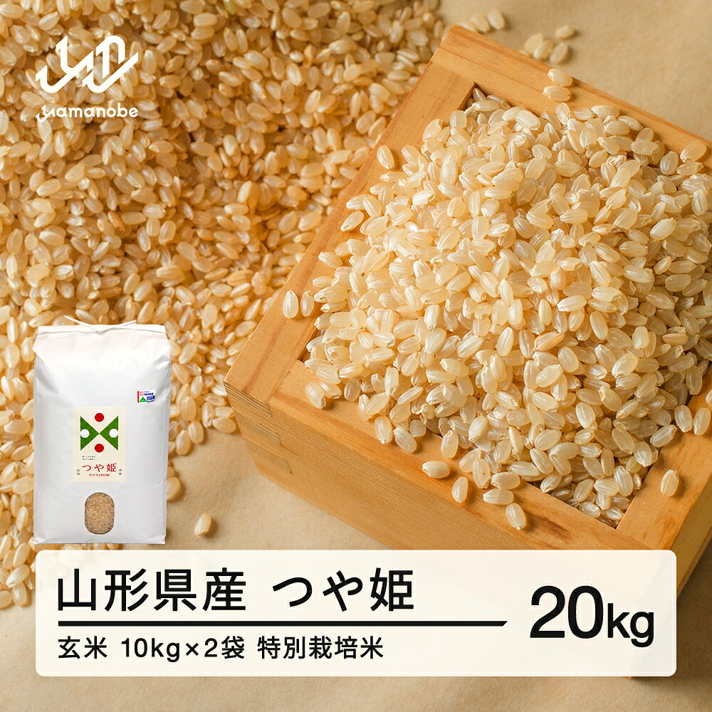 【ふるさと納税】新米 つや姫 玄米 20kg 特別栽培米 配送時期選べる 令和8年産 2026年産 山形県産 送料無料 ※沖縄・離島への配送不可 on-tsgxb20