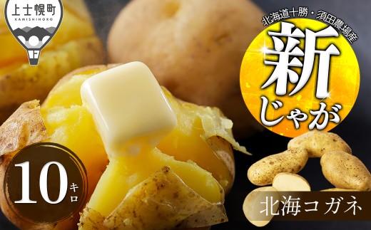 2026年産 先行予約 北海道産 新じゃが ホッカイコガネ 10kg 北海道 上士幌町 須田農場 野菜 秋野菜 じゃがいも ジャガイモ 馬鈴薯 北海こがね 産地直送  ◆2026年9月下旬発送開始予定 ［012-V82］