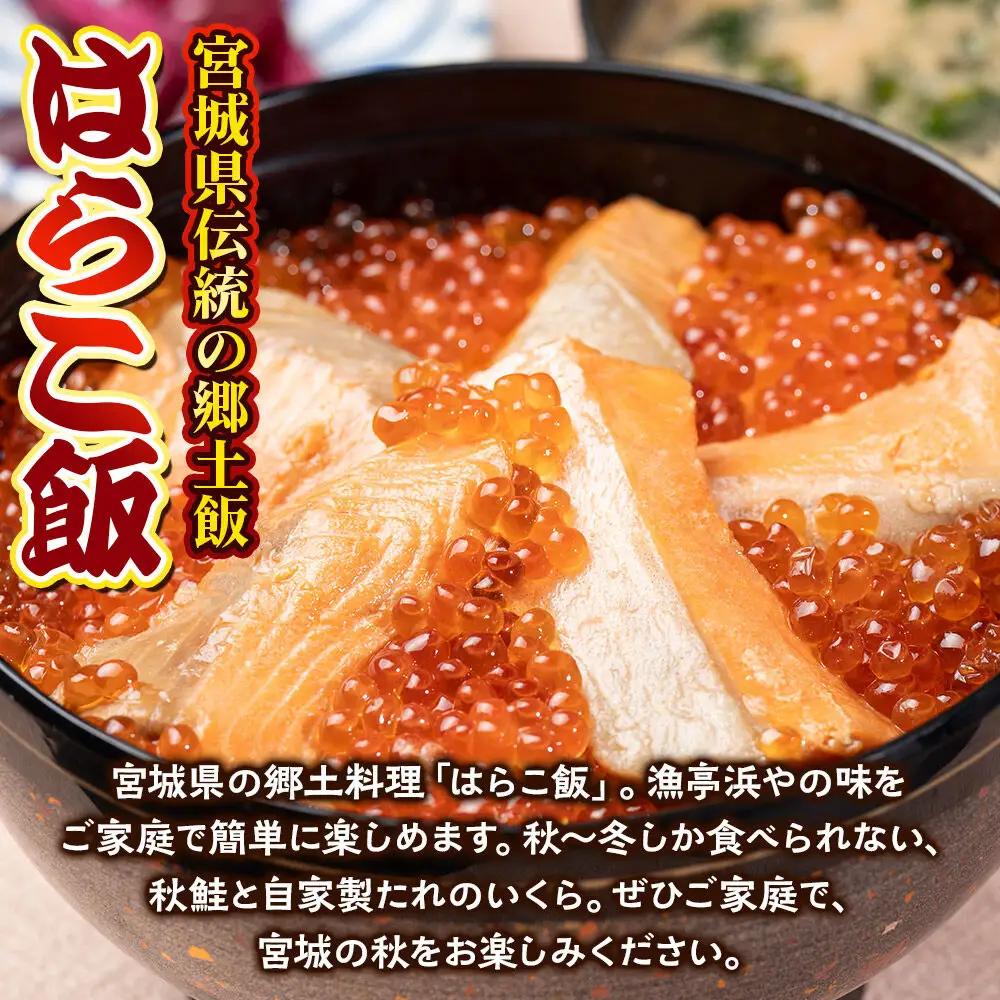 みやぎ飯【宮城県郷土料理】はらこ飯 4人前  鮭 腹子 いくら 郷土料理 漁亭 浜や 宮城県 名取市