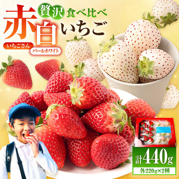 【ふるさと納税】【先行予約】赤白いちご「いちごさん」＆「パールホワイト」セット各220g 【かわさきいちご】イチゴ 白イチゴ 苺 果物 フルーツ 佐賀県産 [IBG002]