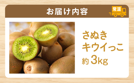 【先行受付】香川県オリジナルキウイフルーツ「さぬきキウイっこ」約3kg【香川県共通返礼品】 | キウイ キウイフルーツ 果物 フルーツ 青果 青果物 さぬきキウイっこ 果実 贈答 贈り物 ギフト 甘い