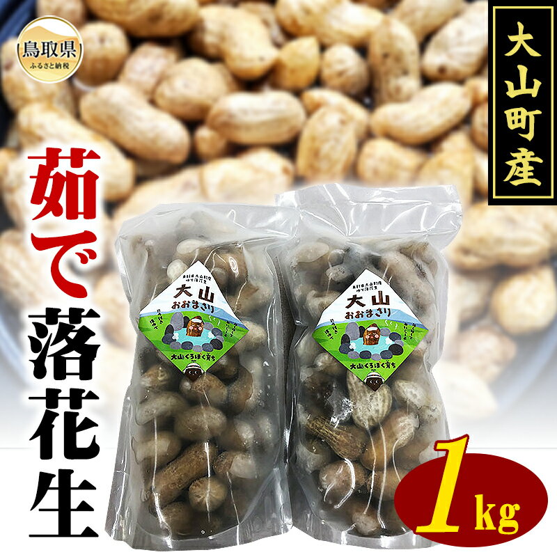 【ふるさと納税】B25-040 大山町産 茹で落花生（オオマサリ　1kg） 鳥取県 おすすめ 大山 だいせん ジャンボ落花生 塩茹落花生