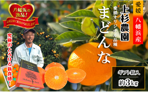 ギフト対応化粧箱入・上杉農園のぷるぷる新食感!「マドンナ」約3kg＜C39-16＞【1251804】