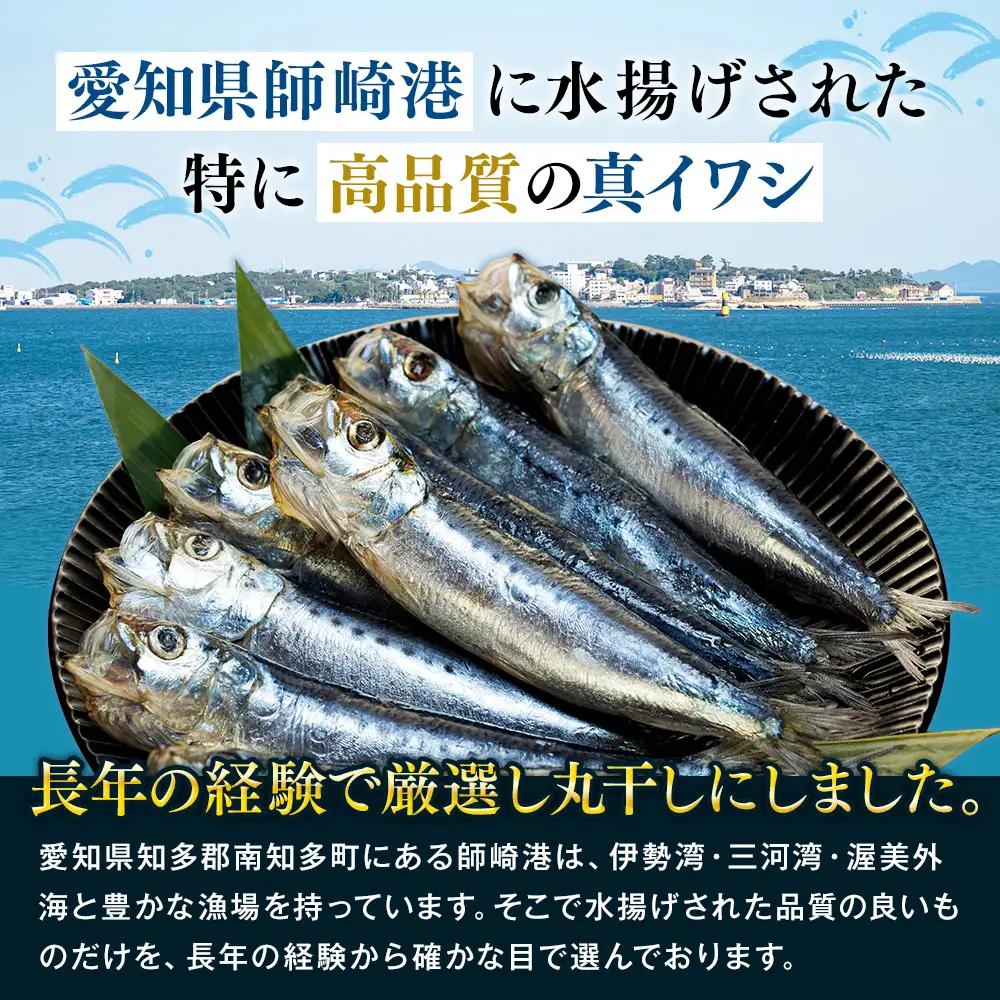 いわしの丸干し 24尾(8尾×3パック) 小分け イワシ