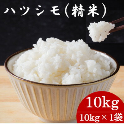 【ふるさと納税】【先行予約】令和7年産　岐阜県産ハツシモ(精米)10kg【1657395】