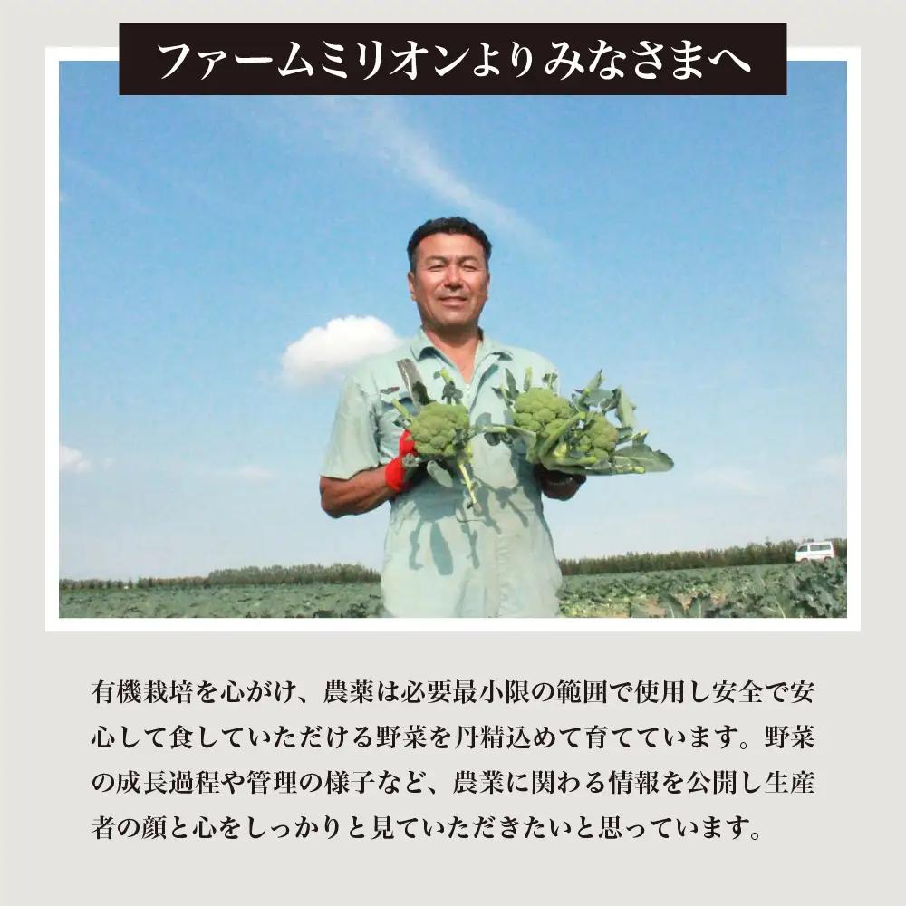 極甘つぶコーン（ゴールドラッシュ）250g×7袋 とうもろこし トッピング キャンプ飯 スープ サラダ お試し 送料無料 冷凍発送 北海道 十勝 芽室町me016-003c