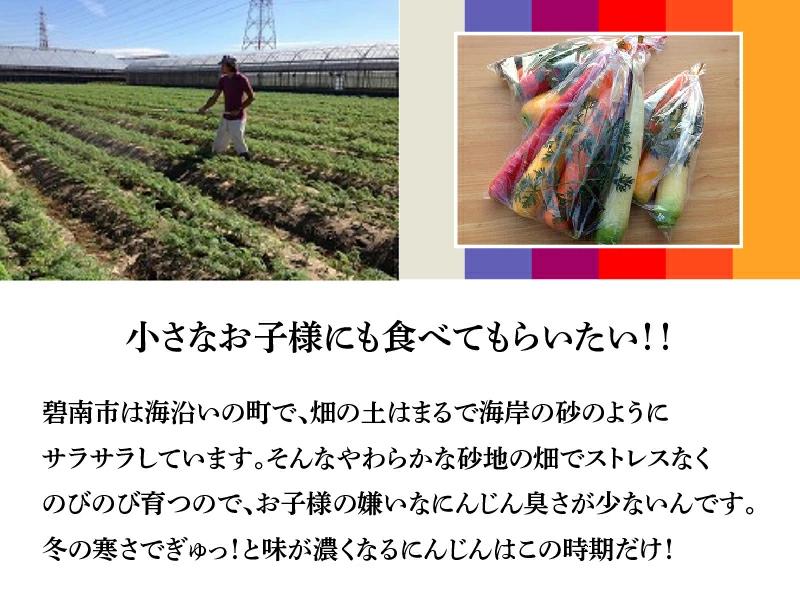 【期間限定】 冬の寒さでぎゅっと濃い！虹色のカラフルにんじん 鈴盛農園 農家直送 甘い スーパーフード 健康 自慢 ジュース サラダ ギフト 贈り物 βカロテン ポリフェノール リコピン ジューシー H022-012