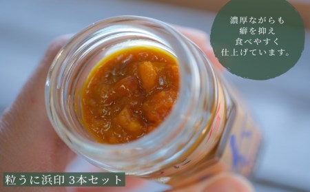 粒うに 瓶うに 浜印 3本 ED