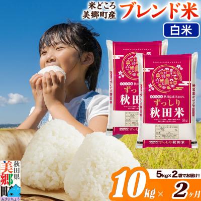 ふるさと納税 美郷町 《定期便2ヶ月》ブレンド米【白米】精米 10kg(5kg×2袋)|01_ssn-011002h