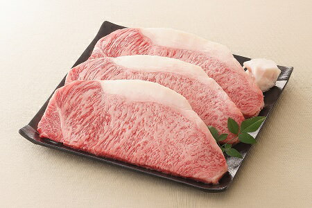 【ふるさと納税】【レビューキャンペーン対象商品】飛騨牛 サーロインステーキ サーロイン 肉 ×3枚（計約540g）