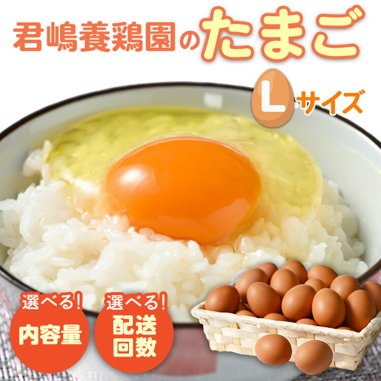 【ふるさと納税】【選べる内容量・回数】君嶋養鶏園のたまご Lサイズ 30個～720個 | 定期便 30個 60個 2か月 3か月 4か月 5か月 6か月 7か月 8か月 9か月 10か月 11か月 12か月 1年 卵 玉子 たまご 赤卵 赤たまご 生卵 国産 濃厚 鶏卵 割れ補償 コク 旨味 黄身じまん