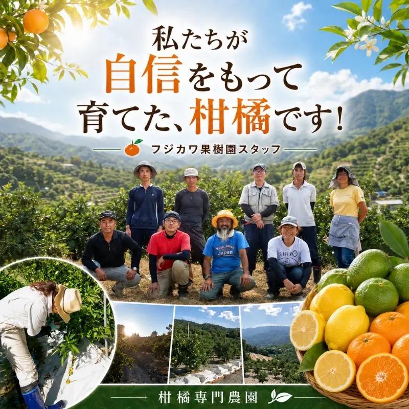 【2026年 先行予約】みどり認定 ハウス栽培グリーンレモン 約2.3kg 国産レモン 香川 果物類／柑橘類／みかん レモン　 