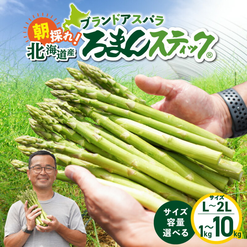 【ふるさと納税】＜選べるサイズと容量＞ ロマンス農園 ろまんスティック Lサイズ 2Lサイズ 1kg ～ 10kg アスパラガス 野菜 旨味 うま味 新鮮 やわらかい みずみずしい 糖度 ブランド アスパラ 国産 数量 期間 限定 北海道 苫小牧市 おすすめ ランキング プレゼント ギフト