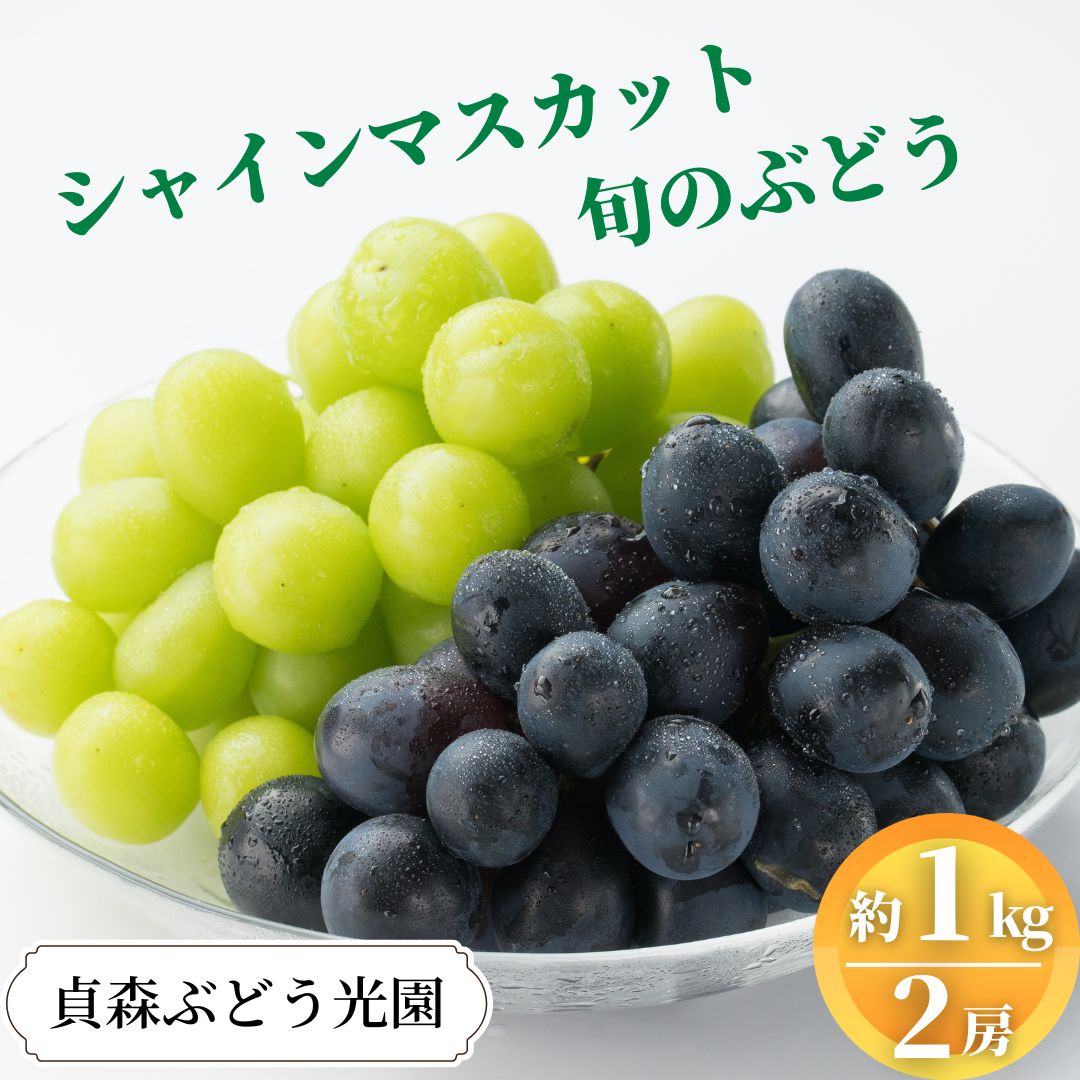【ふるさと納税】ぶどう詰合せ シャインマスカット 旬のぶどう 約1kg 2房セット 貞森ぶどう光園 ぶどう ブドウ 葡萄 フルーツ 果物　【 大粒 人気 皮ごと 熟した 採れたて 食べ比べ ピオーネ 】　※2025年9月上旬～9月下旬頃に順次発送予定