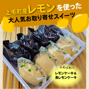 かぐやひめ卵のマドレーヌ＆レモンケーキセット_KT0102