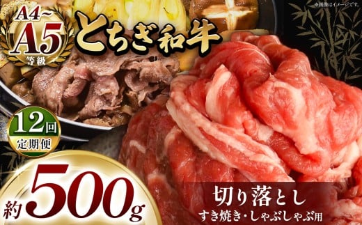 訳あり【定期便12回】とちぎ和牛 すき焼き・しゃぶしゃぶ用 切り落とし 500g | 栃木県共通返礼品 ご褒美 プレゼント 贈答 おいしい 和牛 肉 おにく 特別 人気 お取り寄せ 栃木県 真岡市