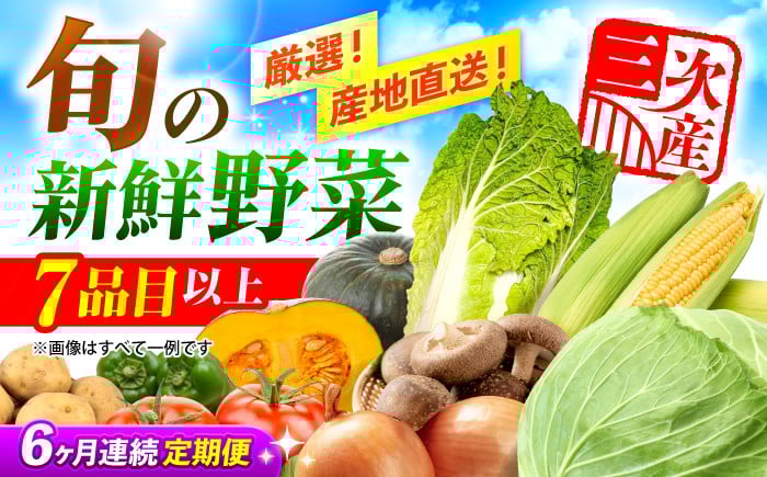 
            【全6回定期便】厳選！農夫のお野菜セット 旬の野菜 7品目以上 詰め合わせ 野菜セット 新鮮 食材 三次市/布野特産センター [APBA016]
          