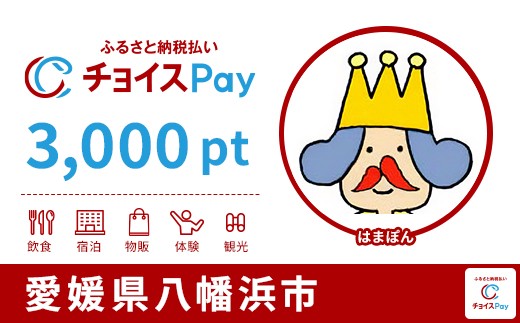 
            八幡浜市チョイスPay 3,000pt【会員限定のお礼の品】
          