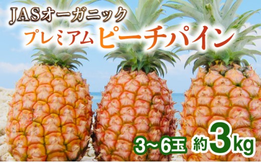 【JASオーガニック】 プレミアムピーチパイン 約3kg 3～6玉　023-a012_2026